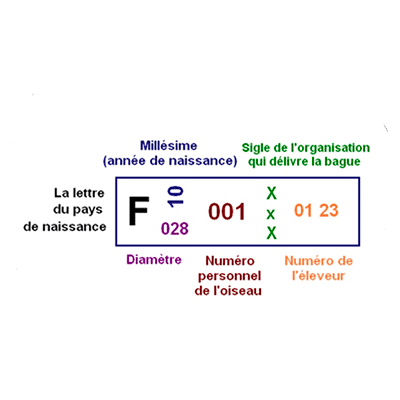 LECTURE BAGUE LECTURE BAGUE