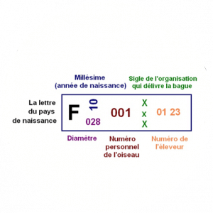 Calque 1