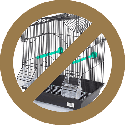 PLUS DE CAGE PLUS DE CAGE