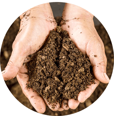 terre-sol-bactérie-antibiotiques-resistane-superbactéries