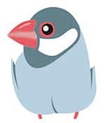 gris gauche