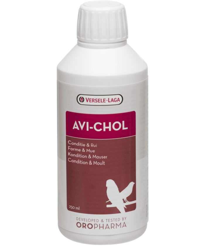 Avi-Chol – My Padda